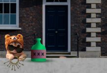 Pistacchio luego de una noche de desenfreno